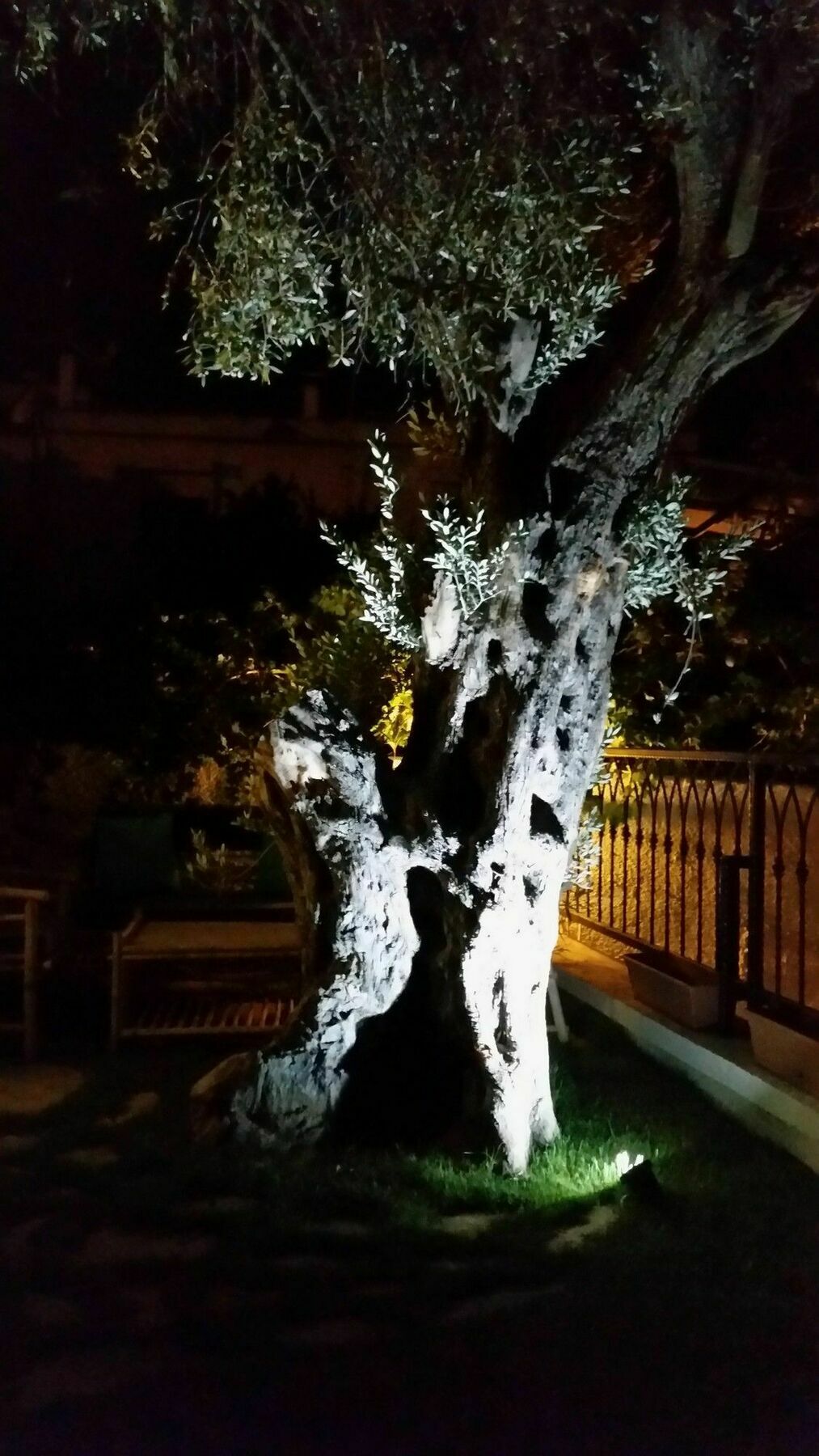 Cassiopeia Hotel Alacati Exterior foto